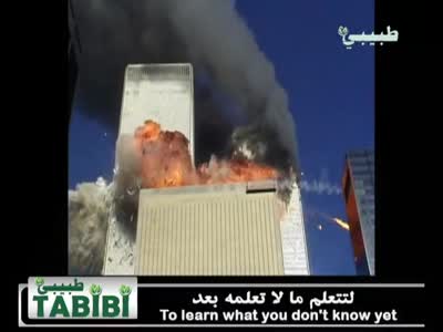Tabibi